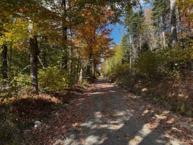 Lake Acreage For Sale in Harmony, Maine