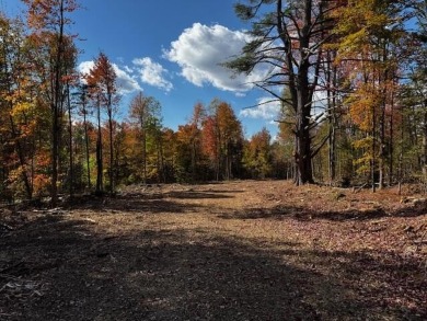 Lake Acreage For Sale in Harmony, Maine