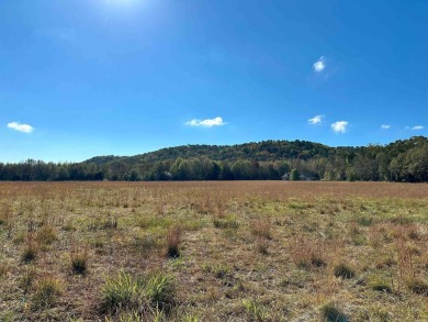 Lake Acreage For Sale in Dover, Arkansas