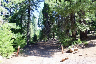 Lake Almanor Lot For Sale in Lake Almanor California