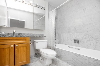 Luxury Waterfront Living in the Heart of Battery Park City - photo 12