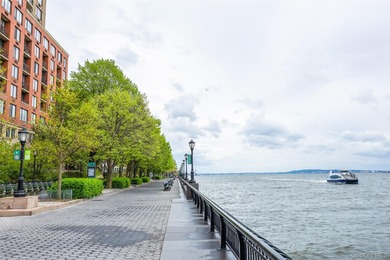 Luxury Waterfront Living in the Heart of Battery Park City - photo 15