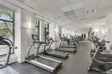 Luxury Waterfront Living in the Heart of Battery Park City - photo 16