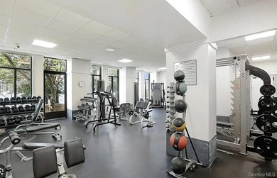 Luxury Waterfront Living in the Heart of Battery Park City - photo 17