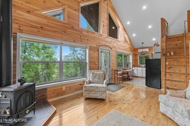 MOTIVATED SELLER: Experience the ultimate mountain-and-lake - photo 10