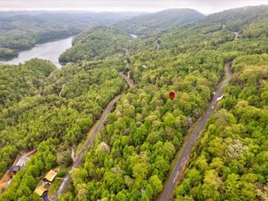 Norris Lake View 3 Acre Building Lot For Sale - Lake Lot For Sale in New Tazewell, Tennessee
