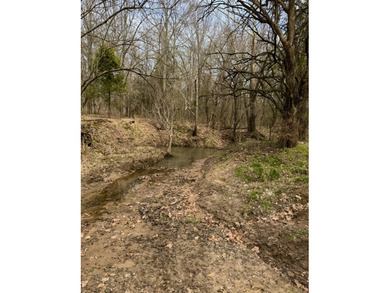Quiet and peaceful 11 acres surveyed and ready to build your - photo 4
