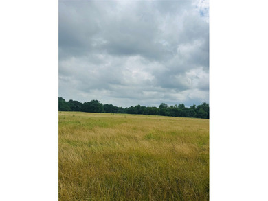 Quiet and peaceful 11 acres surveyed and ready to build your - photo 5