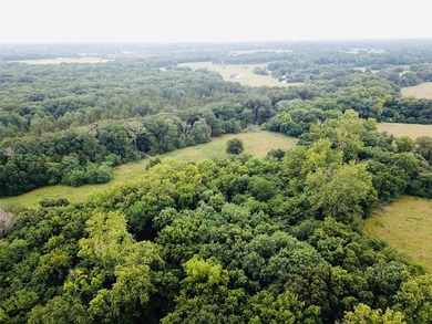 Quiet and peaceful 11 acres surveyed and ready to build your - photo 8