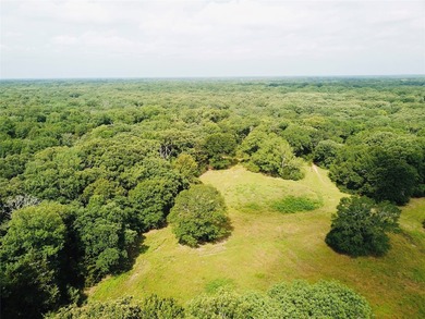 Quiet and peaceful 11 acres surveyed and ready to build your - photo 9