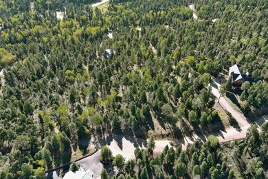 Discover the perfect mountain retreat location with Lot 324 in - photo 11