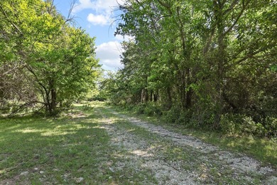 Now offered with mineral production owned by seller included - photo 3