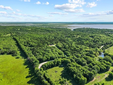 Now offered with mineral production owned by seller included - photo 6