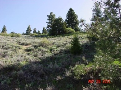 Lake Davis Lot For Sale in Portola California