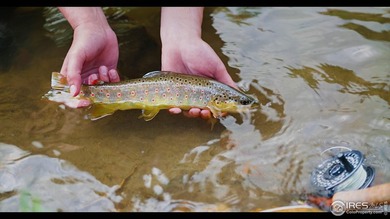 Escape to Poudre River Lodge, a stunning 63.8-acre riverfront - photo 3