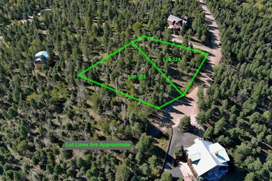 Discover the perfect mountain retreat location with Lot 323 in - photo 11