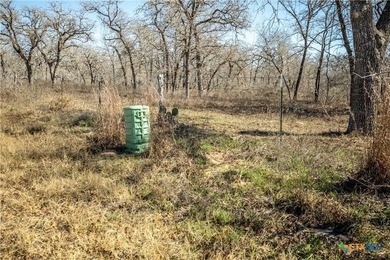 Whispering Pines Floresville Ranch is a rare opportunity to own - photo 16
