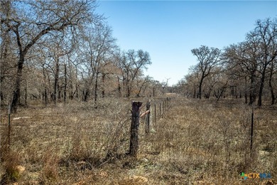 Whispering Pines Floresville Ranch is a rare opportunity to own - photo 17