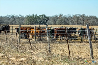 Whispering Pines Floresville Ranch is a rare opportunity to own - photo 22