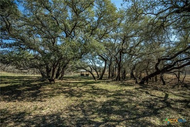 Whispering Pines Floresville Ranch is a rare opportunity to own - photo 27