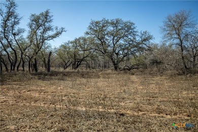Whispering Pines Floresville Ranch is a rare opportunity to own - photo 38