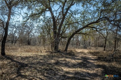 Whispering Pines Floresville Ranch is a rare opportunity to own - photo 39