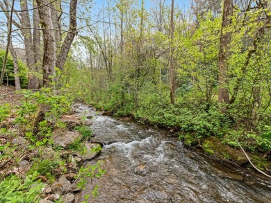 (private lake, pond, creek) Lot For Sale in Whittier North Carolina