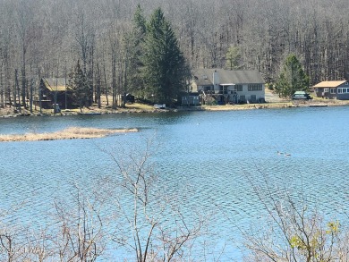 Paupackan Lake Lot Sale Pending in Hawley Pennsylvania
