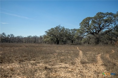 Whispering Pines Floresville Ranch is a rare opportunity to own - photo 41