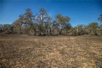 Whispering Pines Floresville Ranch is a rare opportunity to own - photo 42