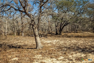 Whispering Pines Floresville Ranch is a rare opportunity to own - photo 43