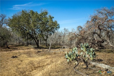 Whispering Pines Floresville Ranch is a rare opportunity to own - photo 44