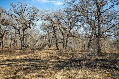 Whispering Pines Floresville Ranch is a rare opportunity to own - photo 45