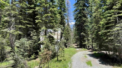 (private lake, pond, creek) Acreage For Sale in Soda Springs California