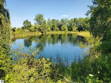 Lake Acreage For Sale in Wheeler, Michigan