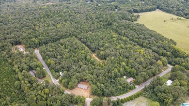 Lay Lake Acreage For Sale in Wilsonville Alabama