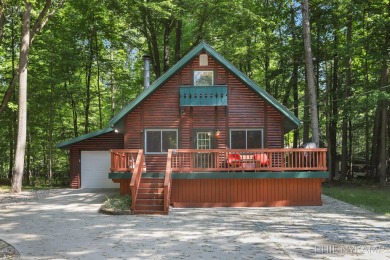 Lake of The Clouds Home For Sale in Stanwood Michigan