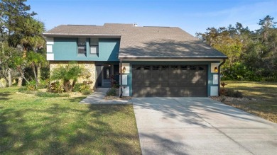 Lake Home For Sale in Deltona, Florida