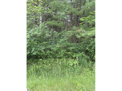 Smallwood Lake Lot For Sale in Gladwin Michigan