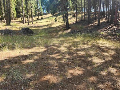 Lake Lot For Sale in Lake Almanor West, California