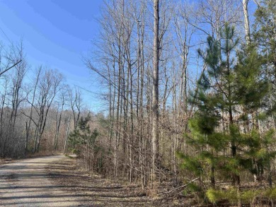 Lake Lot For Sale in Cedar Grove, Tennessee
