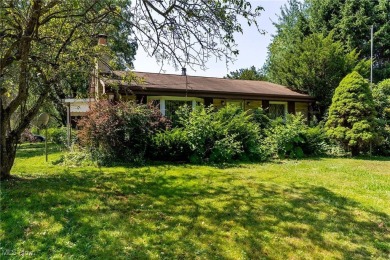 Lake Home For Sale in Andover, Ohio