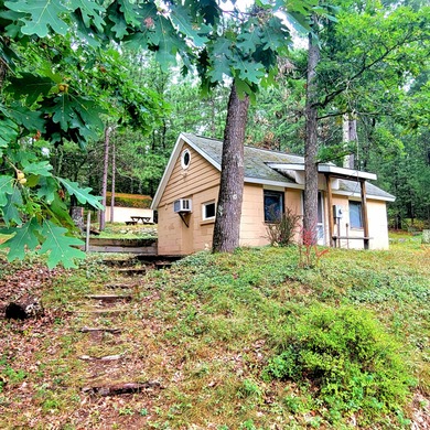 Lake Cecilia Home For Sale in Baldwin Michigan