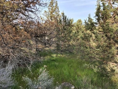 (private lake, pond, coastal) Lot For Sale in Prineville Oregon