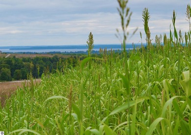 Exceptional large acreage parcel with panoramic water views and - photo 6
