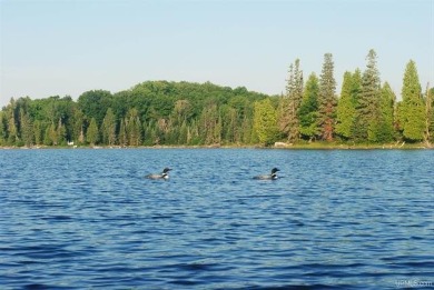 Lake Acreage For Sale in Michigamme, Michigan