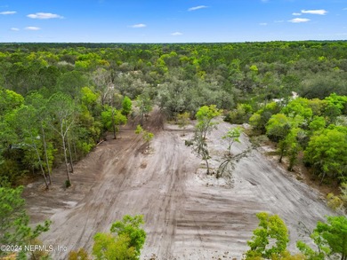 Waterfront Acreage on Junior Lake. Discover 12.07 acres of - photo 12