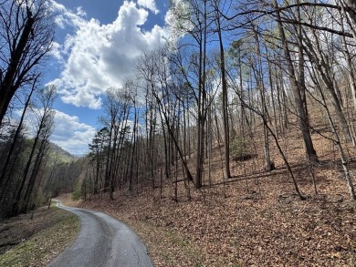 Lake Acreage For Sale in Bryson City, North Carolina