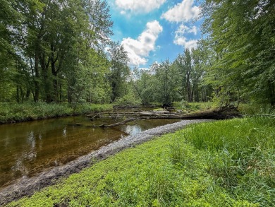 Lake Acreage For Sale in Gowen, Michigan
