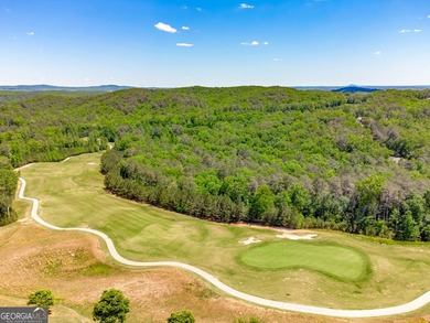 Multi-Generational Home! Must See! This Mountain retreat - photo 48